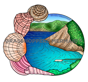 Shell Island