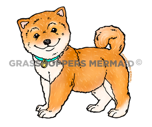 Shiba Inu Dog