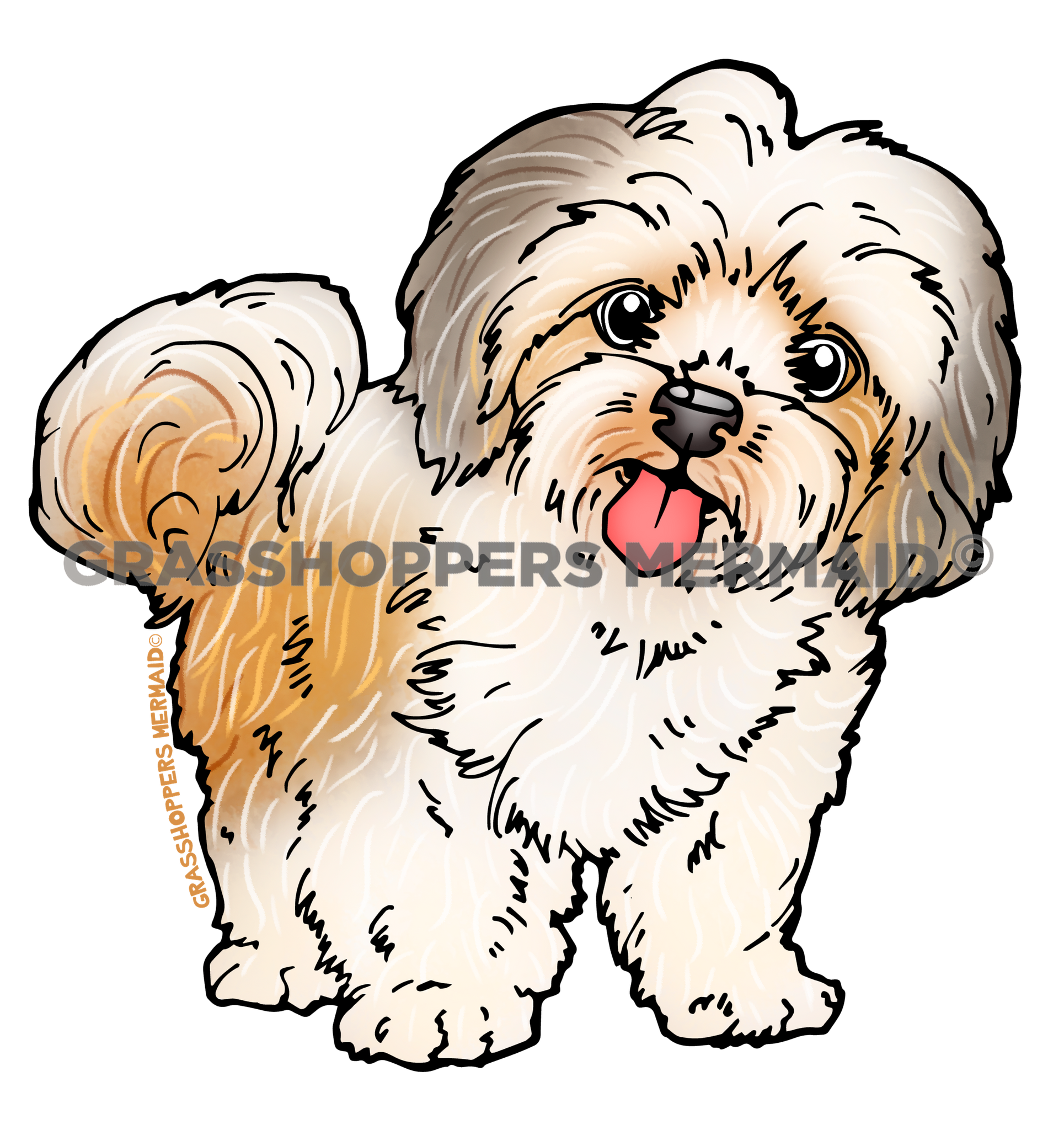 Shih Tzu Dog