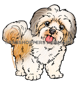 Shih Tzu Dog
