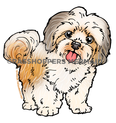 Shih Tzu Dog