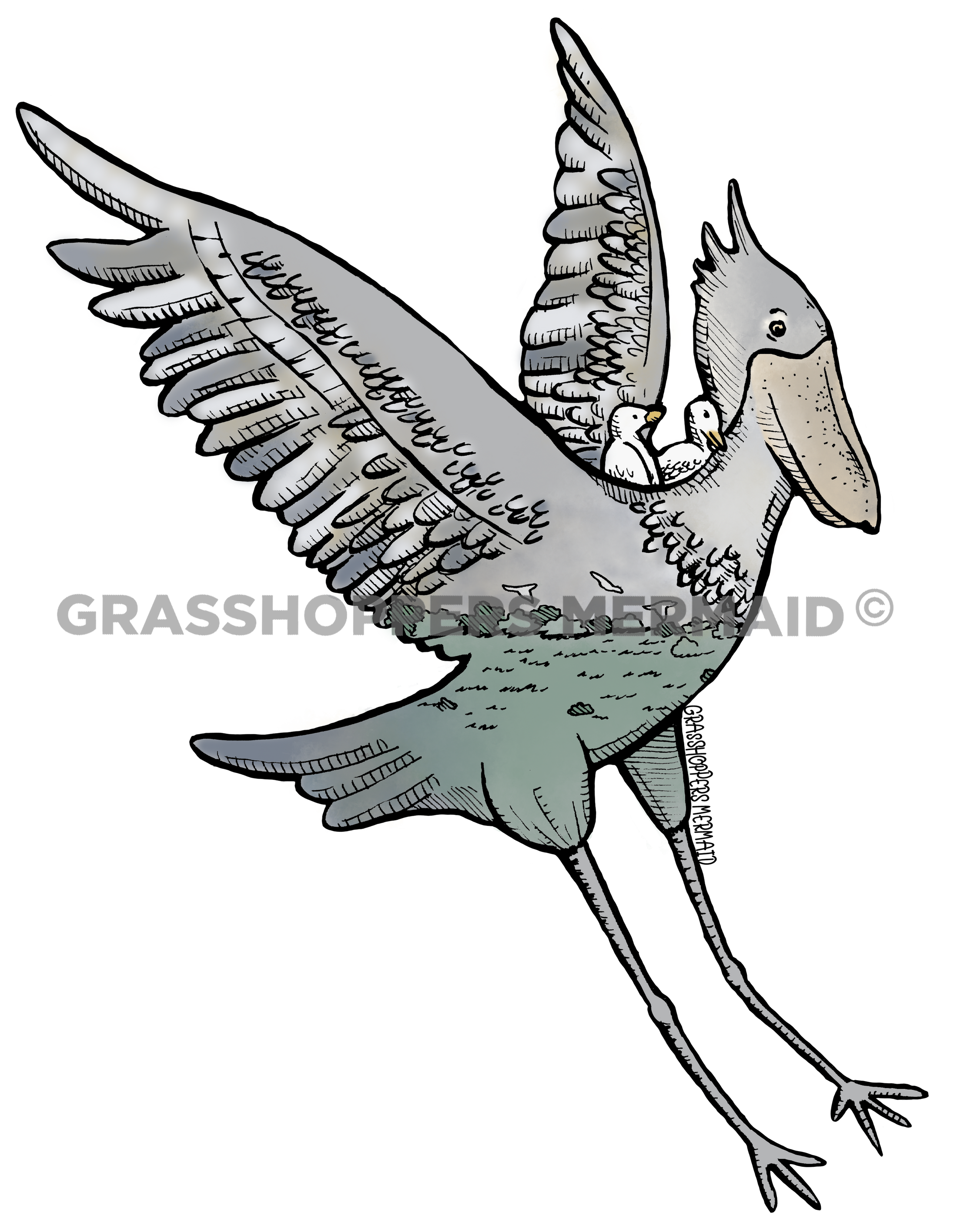 Shoebill