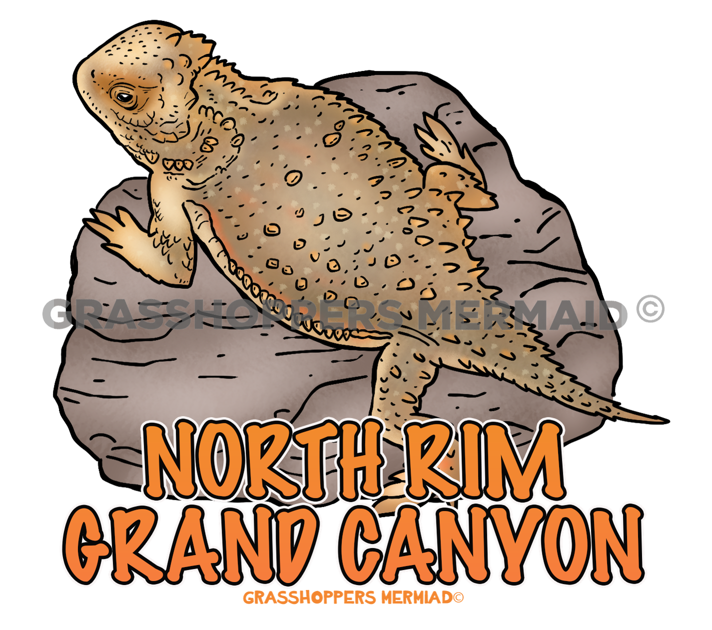 Short Horned Lizard Rock
