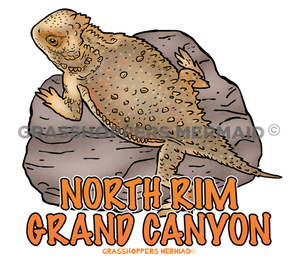 Short Horned Lizard Rock