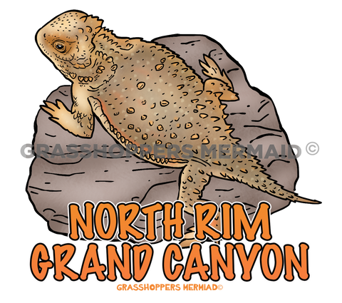 Short Horned Lizard Rock