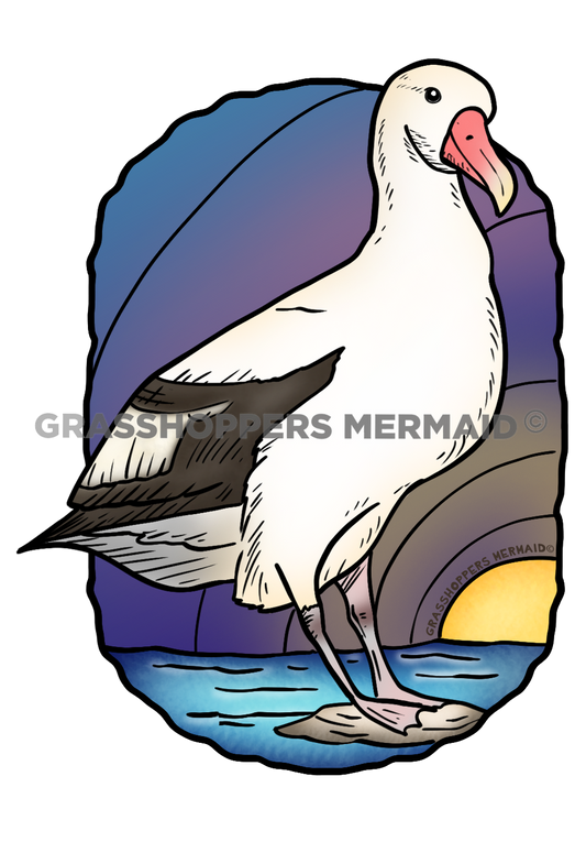 Short Tailed Albatross Sticker | Waterproof Vinyl Sticker & Laptop Decal | Weatherproof Art