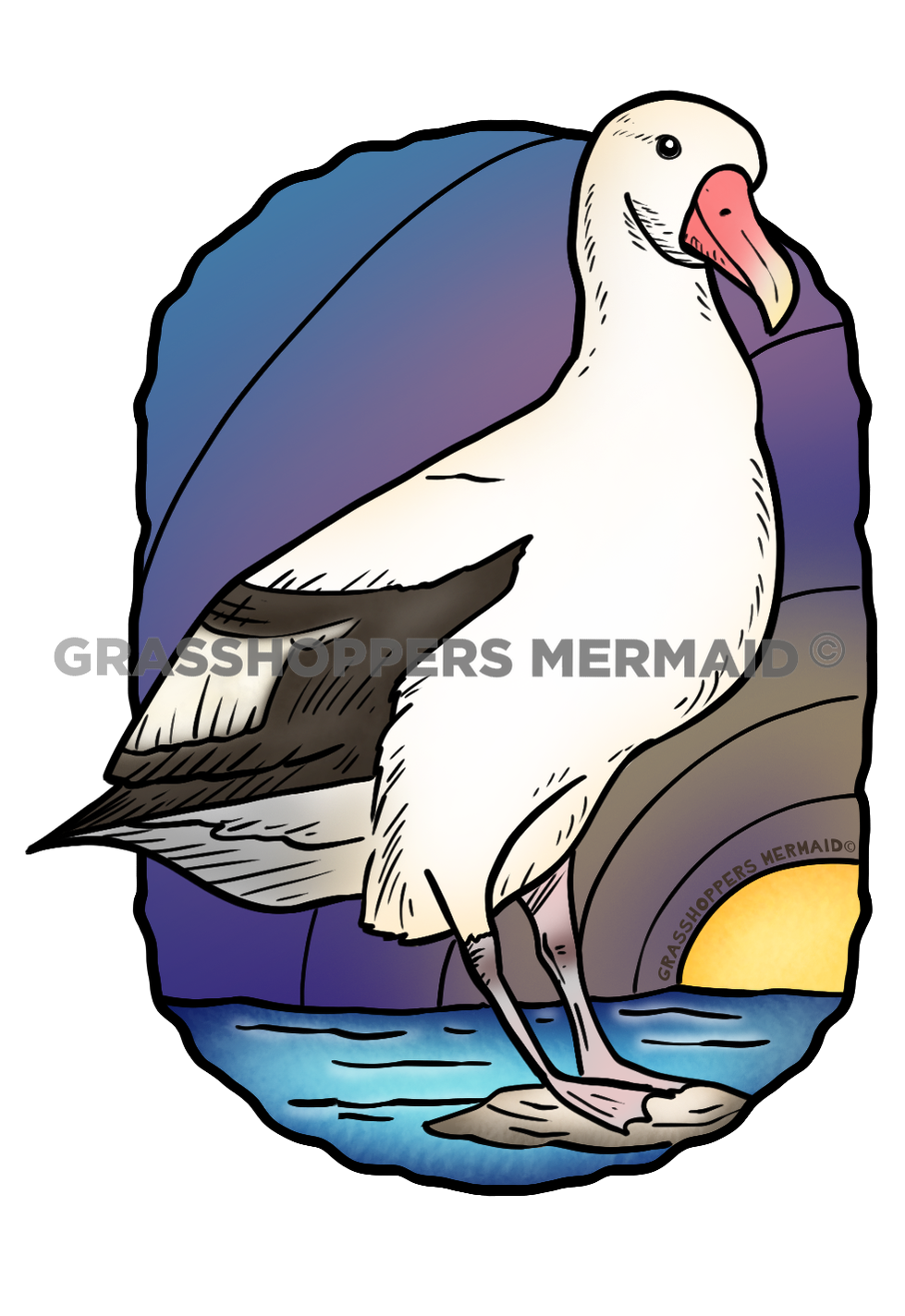 Short Tailed Albatross