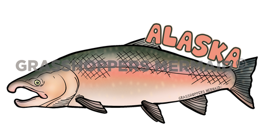 Silver Salmon