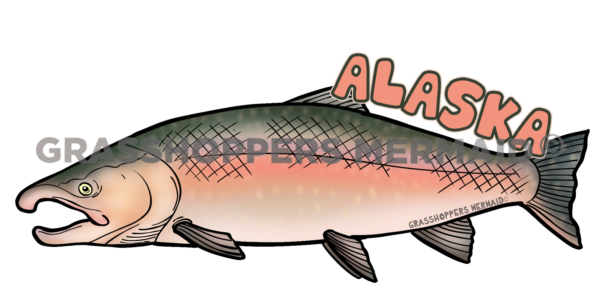 Silver Salmon