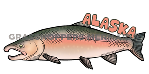Silver Salmon
