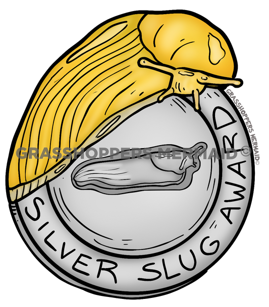 Silver Slug Award