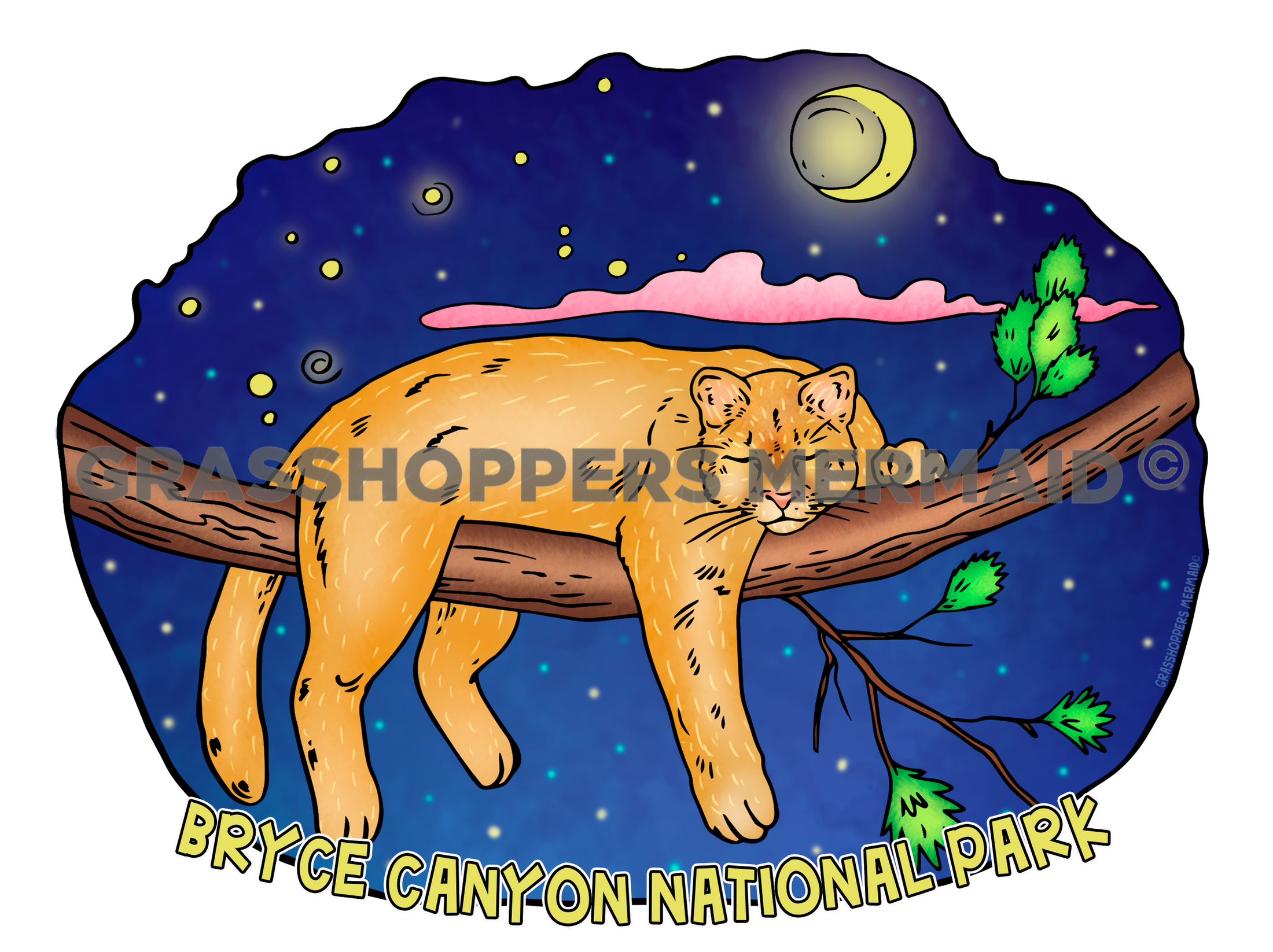 Sleepy Night Puma