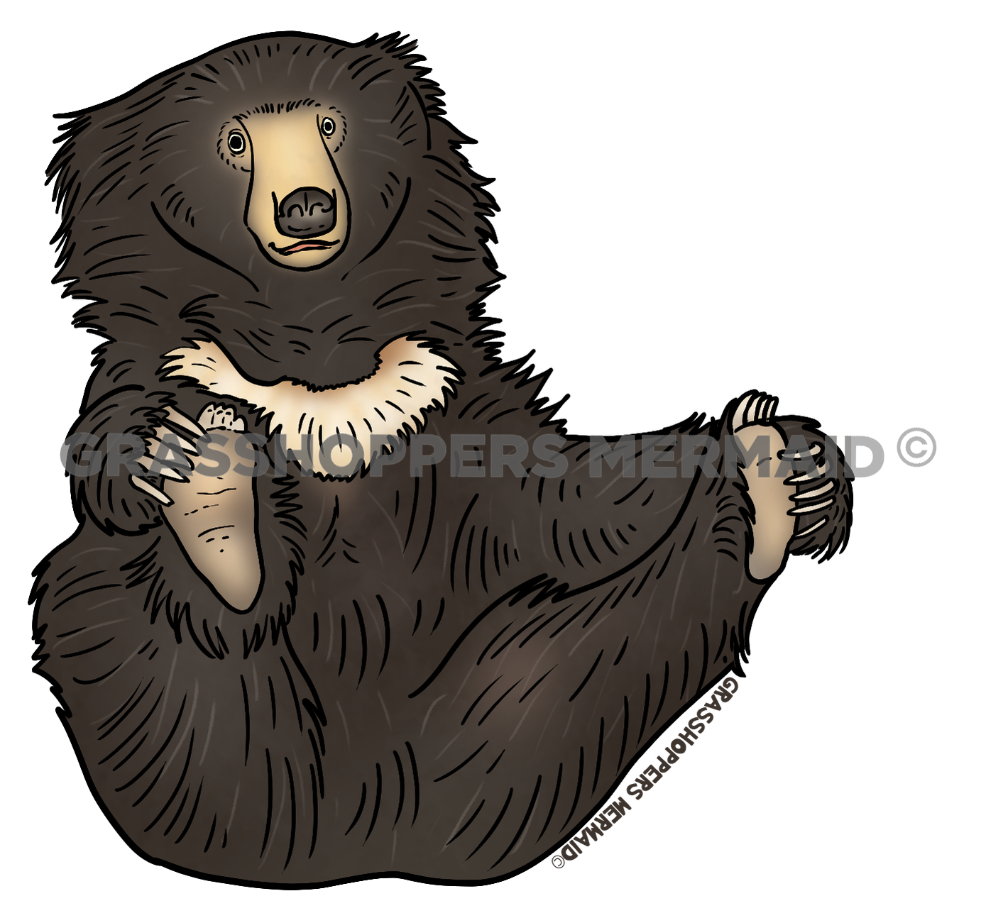 Sloth Bear Playtime