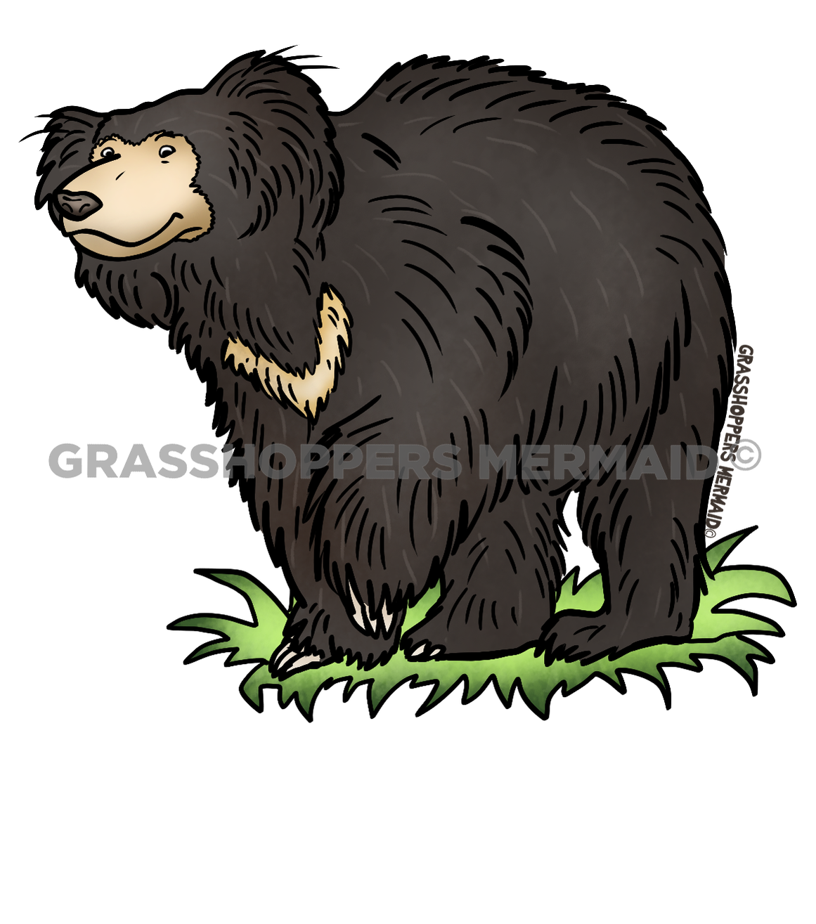 Sloth Bear Stroll