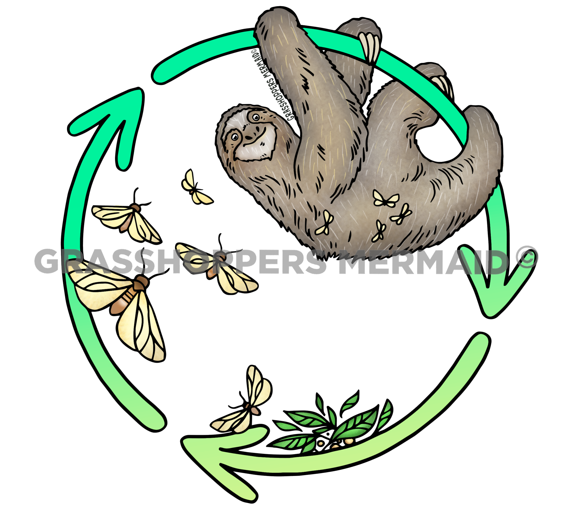 Sloth Moths