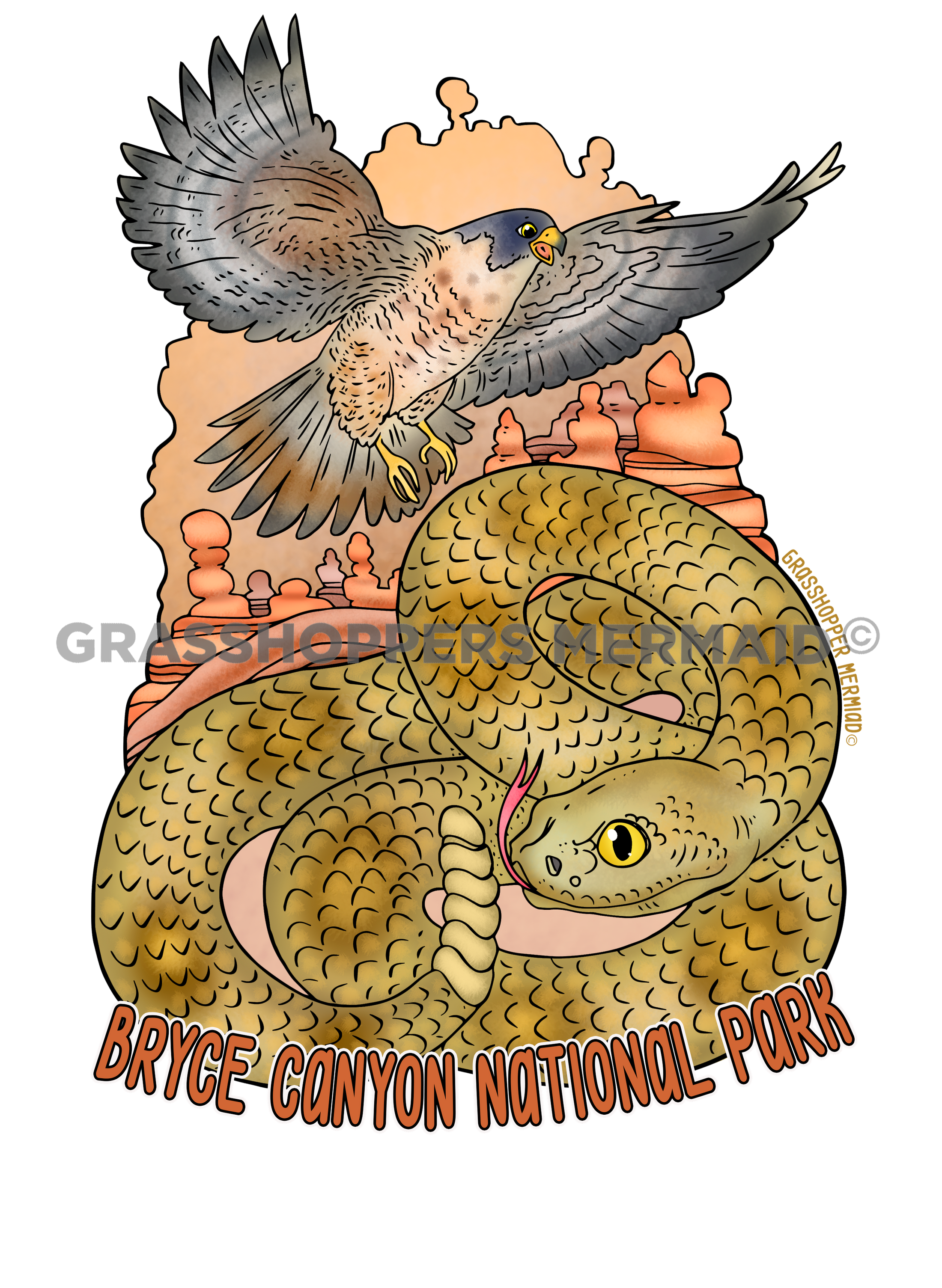 Snake & Falcon