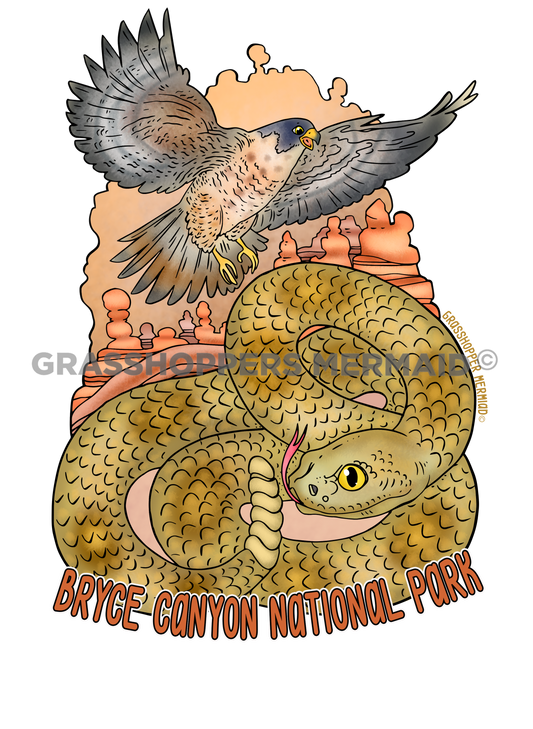 Snake & Falcon