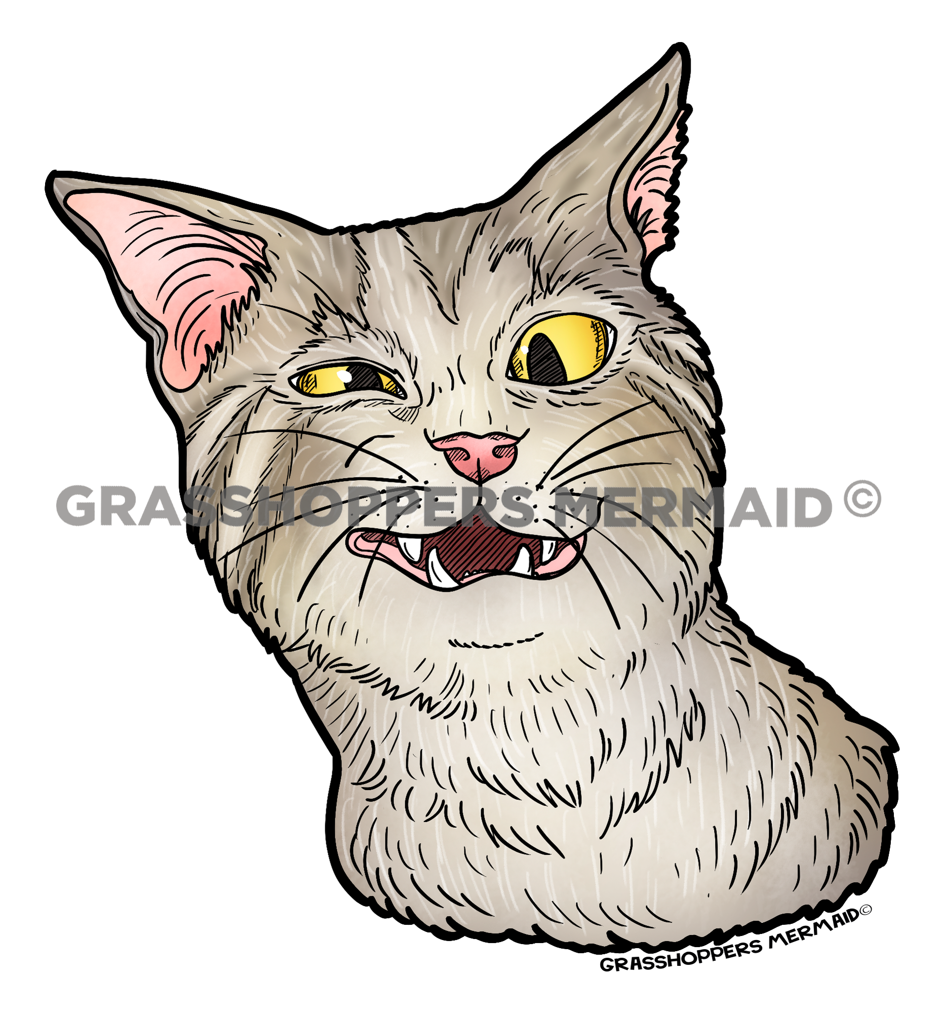 Sneezing Cat