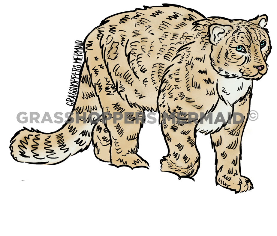 Snow Leopard