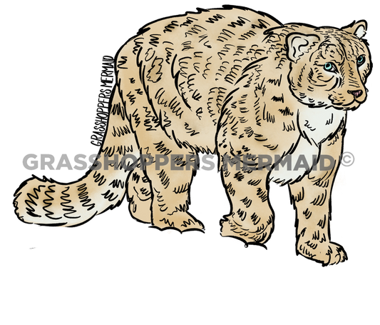 Snow Leopard
