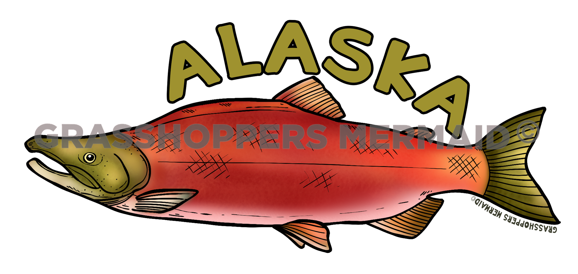 Sockeye Salmon