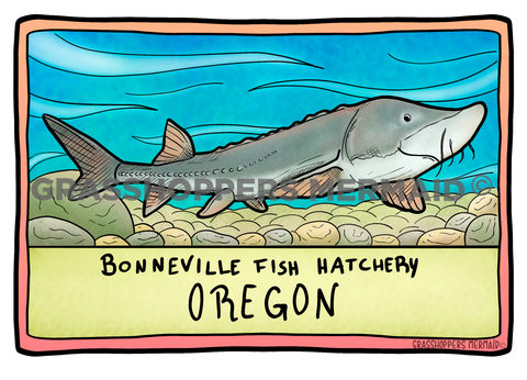 Sturgeon Plaque