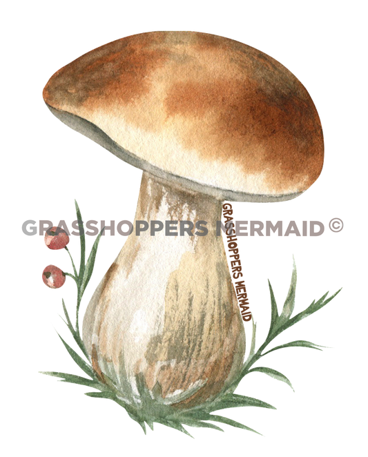 Squatty Solo Mushroom