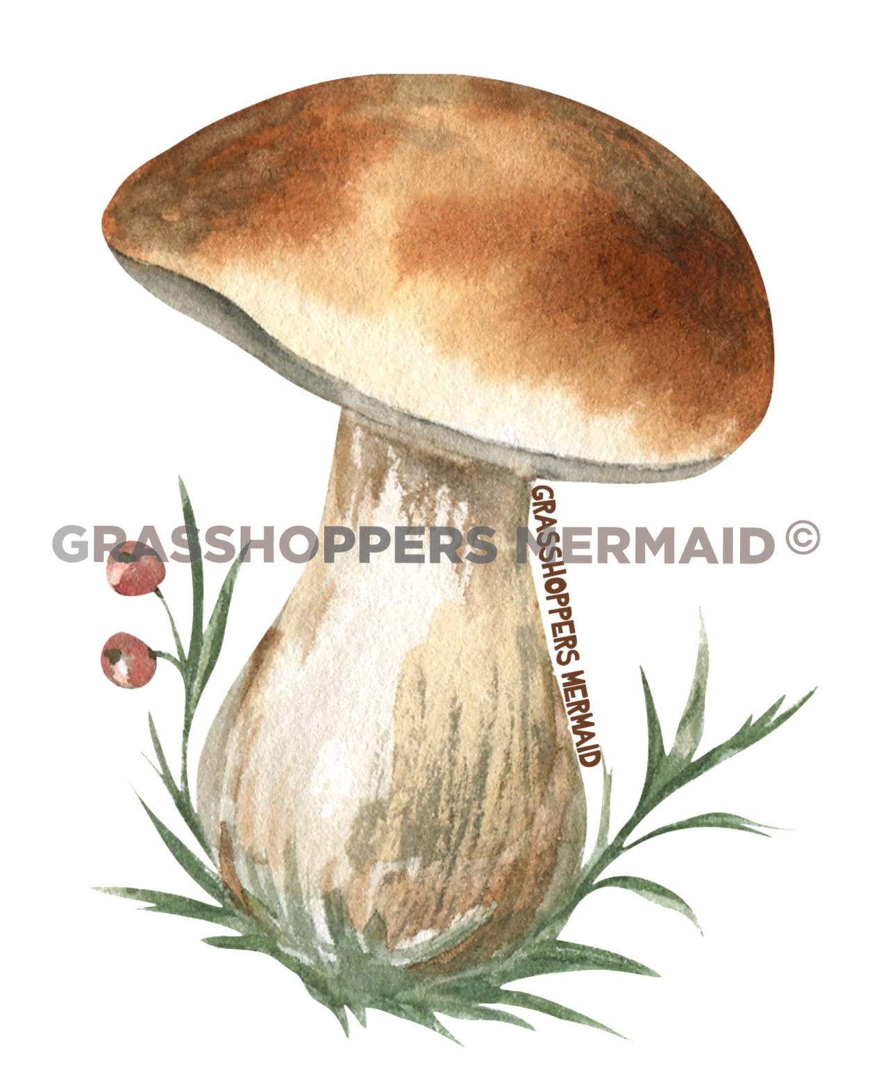 Squatty Solo Mushroom