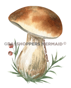 Squatty Solo Mushroom