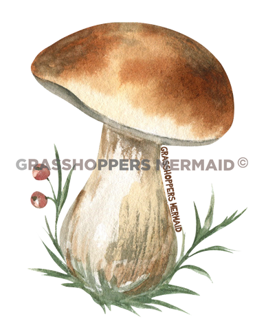 Squatty Solo Mushroom