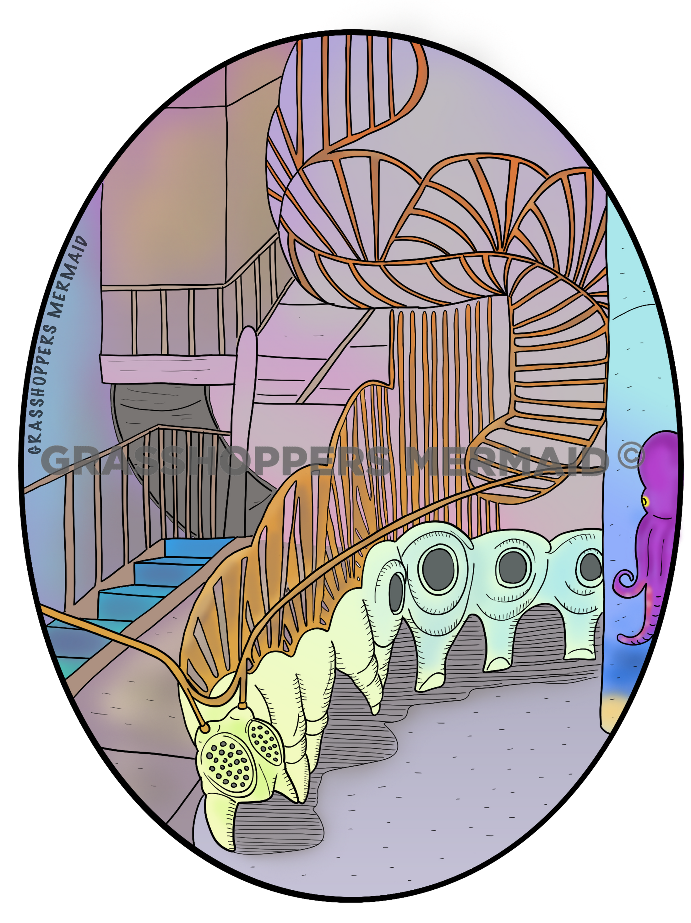 Staircase Centipede