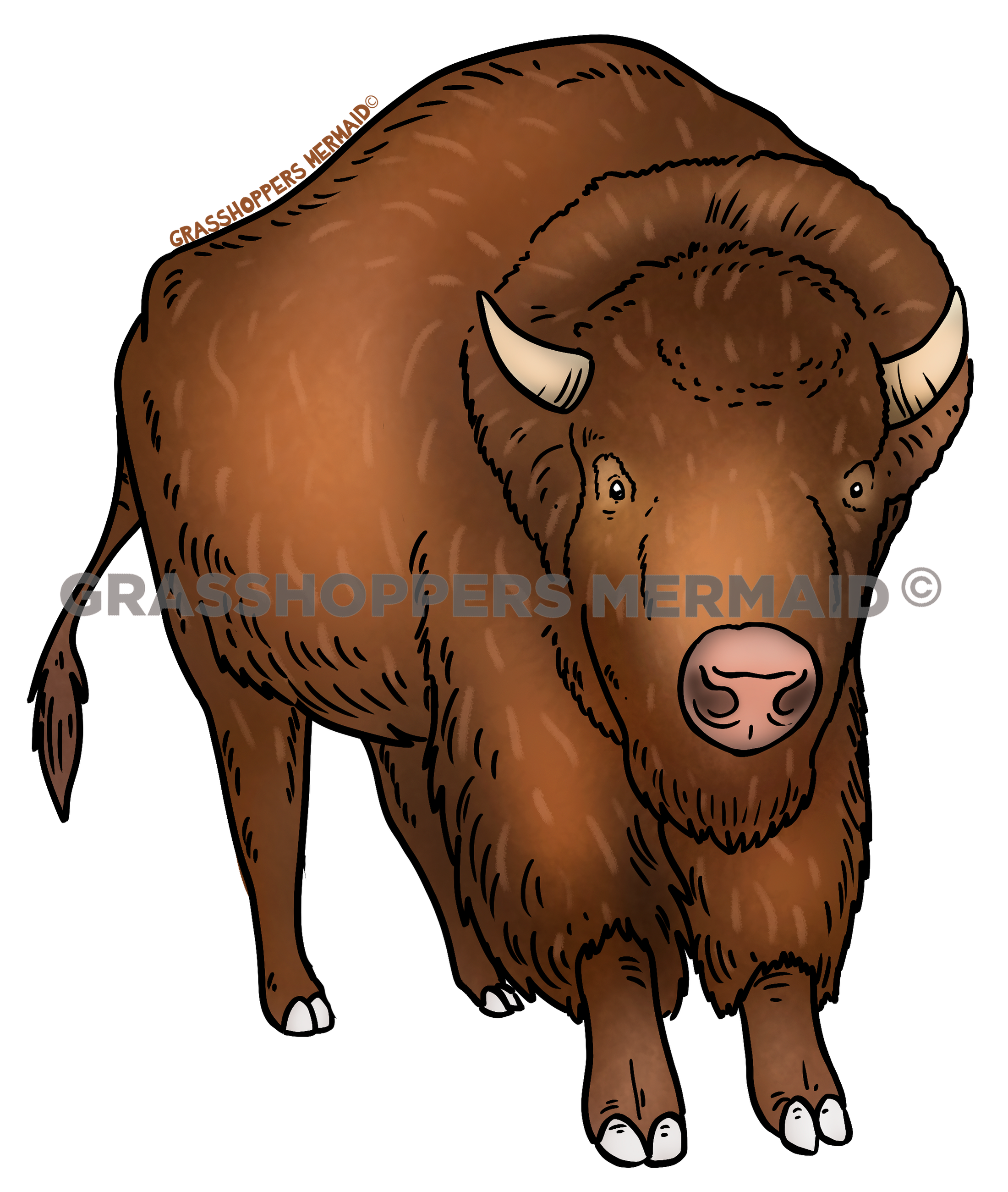 Stand Alone Bison