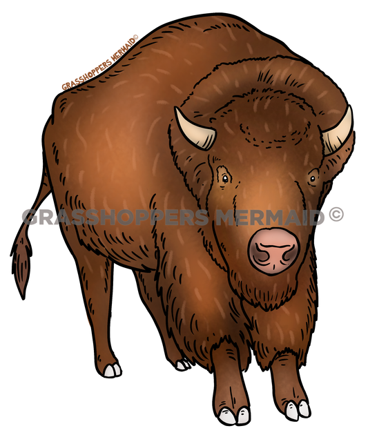 Stand Alone Bison