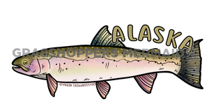 Steelhead