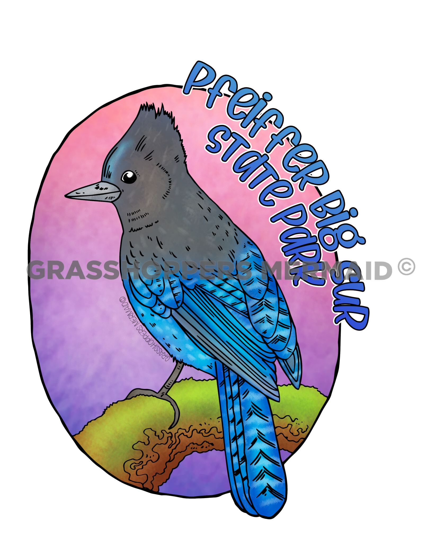 Stellar Jay