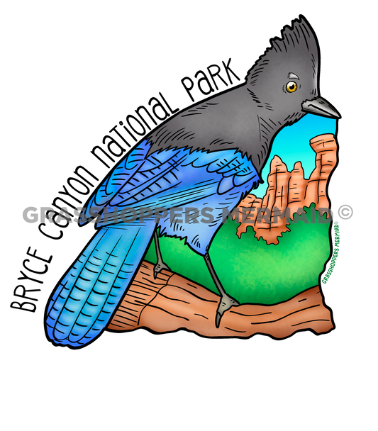 Steller's Jay Bryce