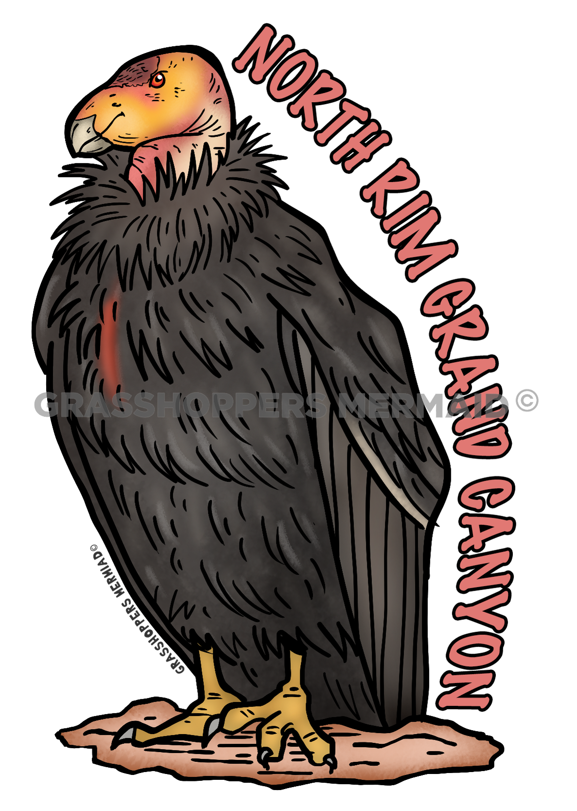 Stoic Condor
