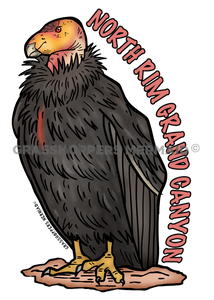Stoic Condor