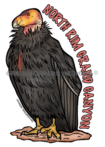 Stoic Condor