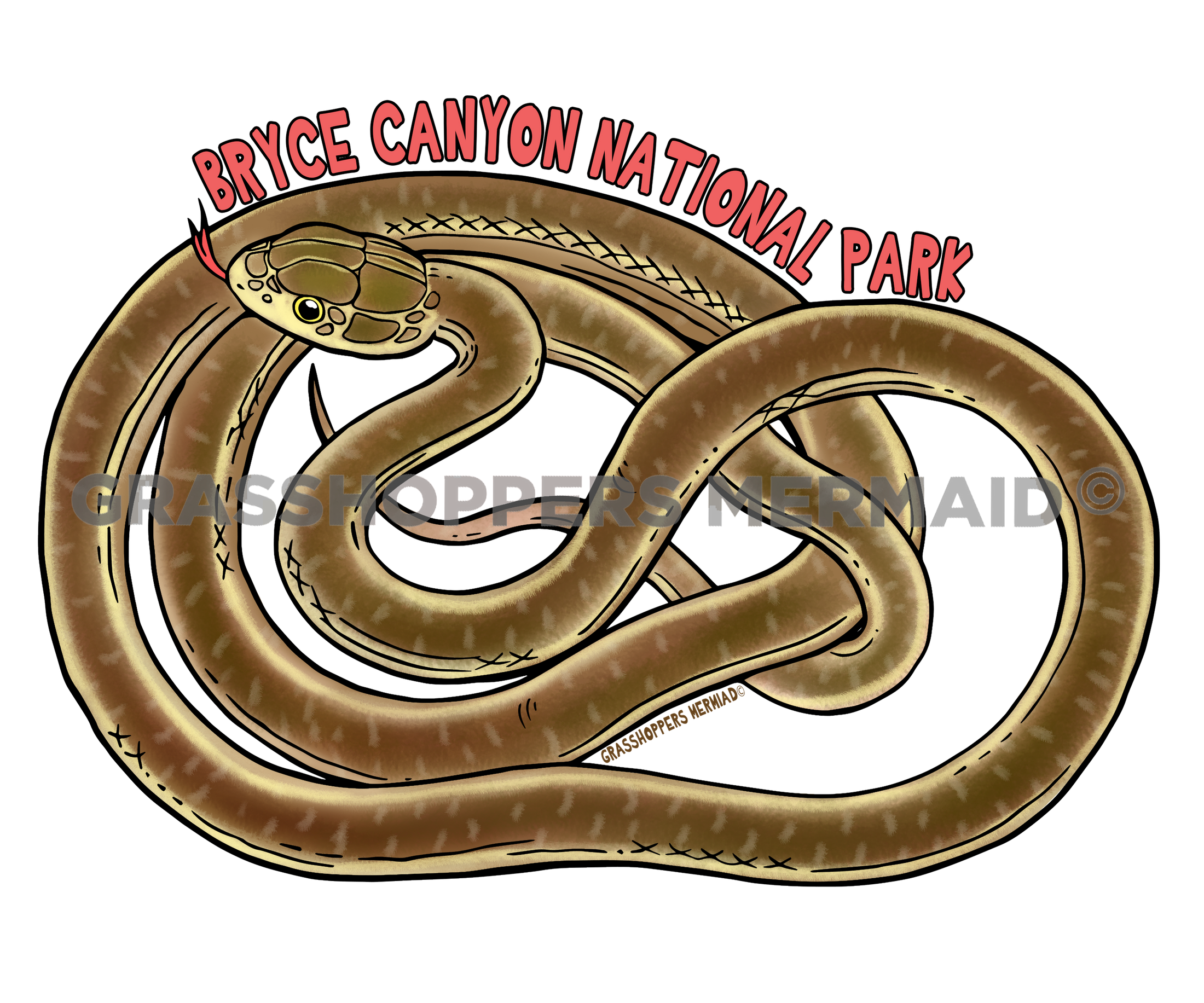 Striped Whip Snake