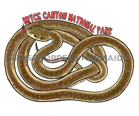 Stripped Whip Snake