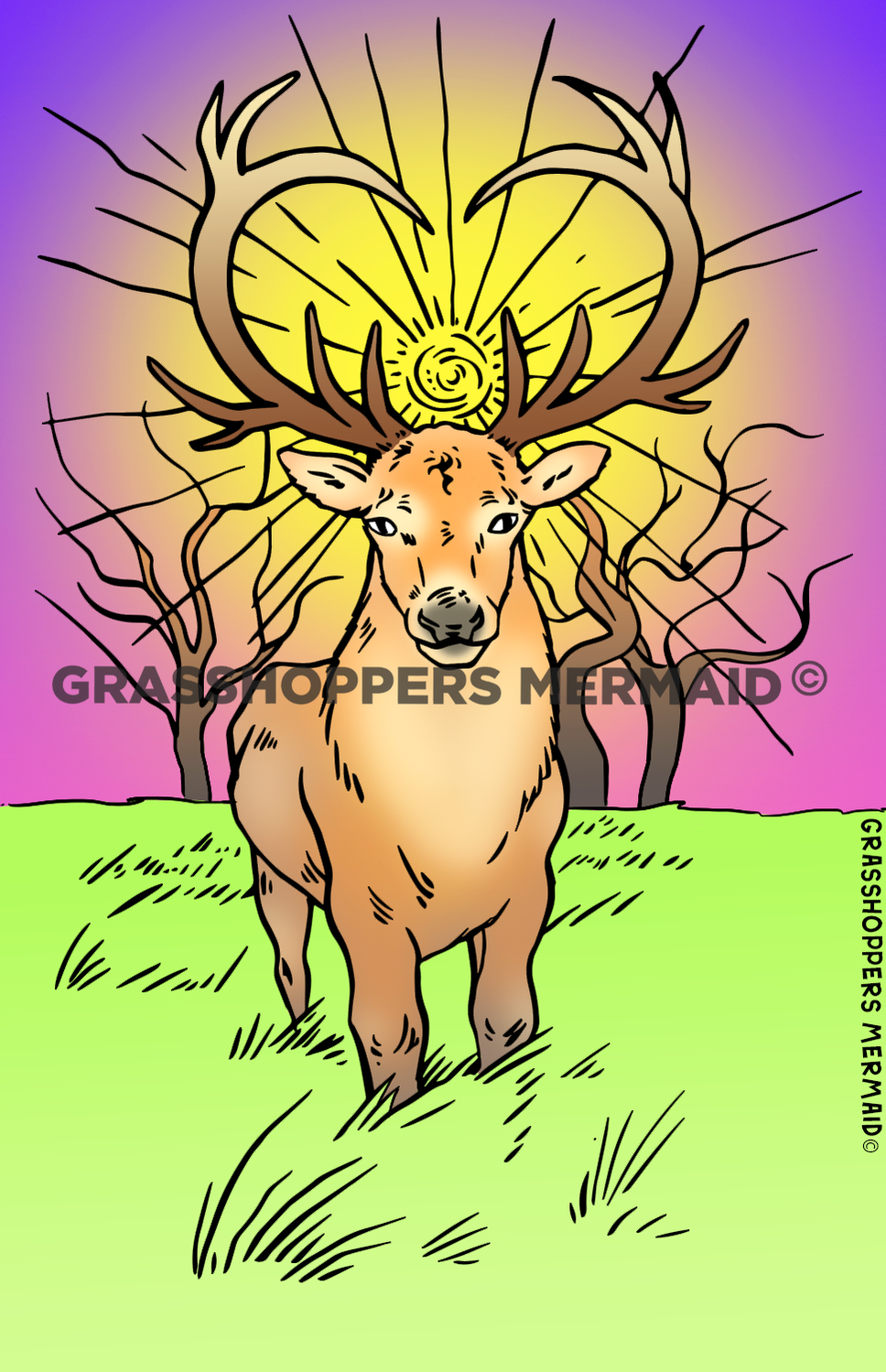 Sunset Deer