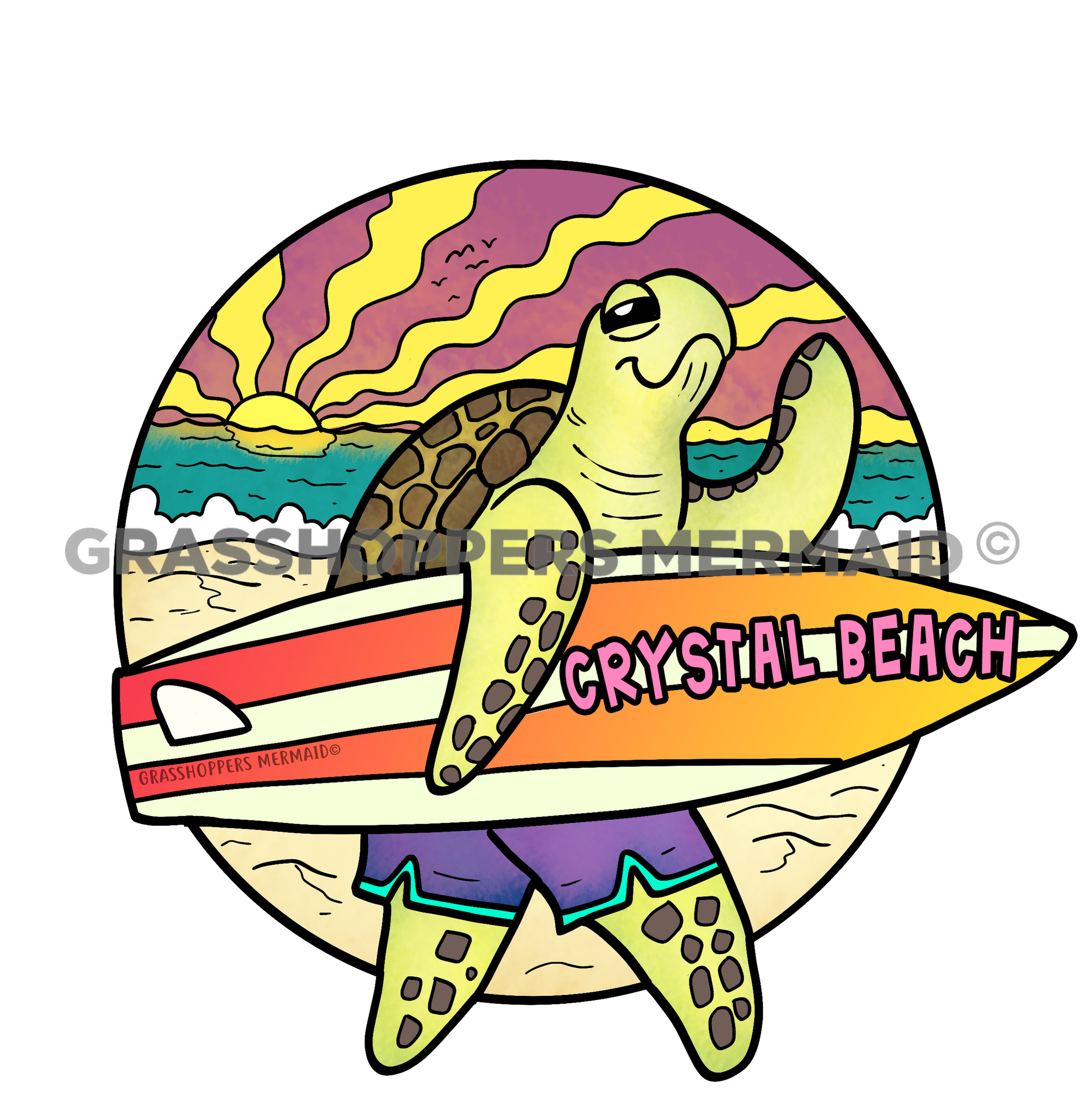 Surfing Turtle