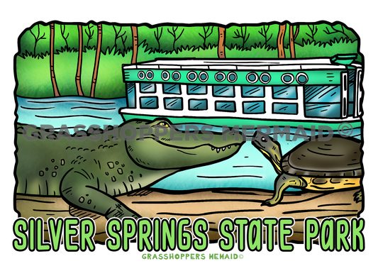 Swampy Boat Day