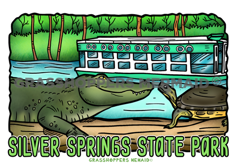 Swampy Boat Day