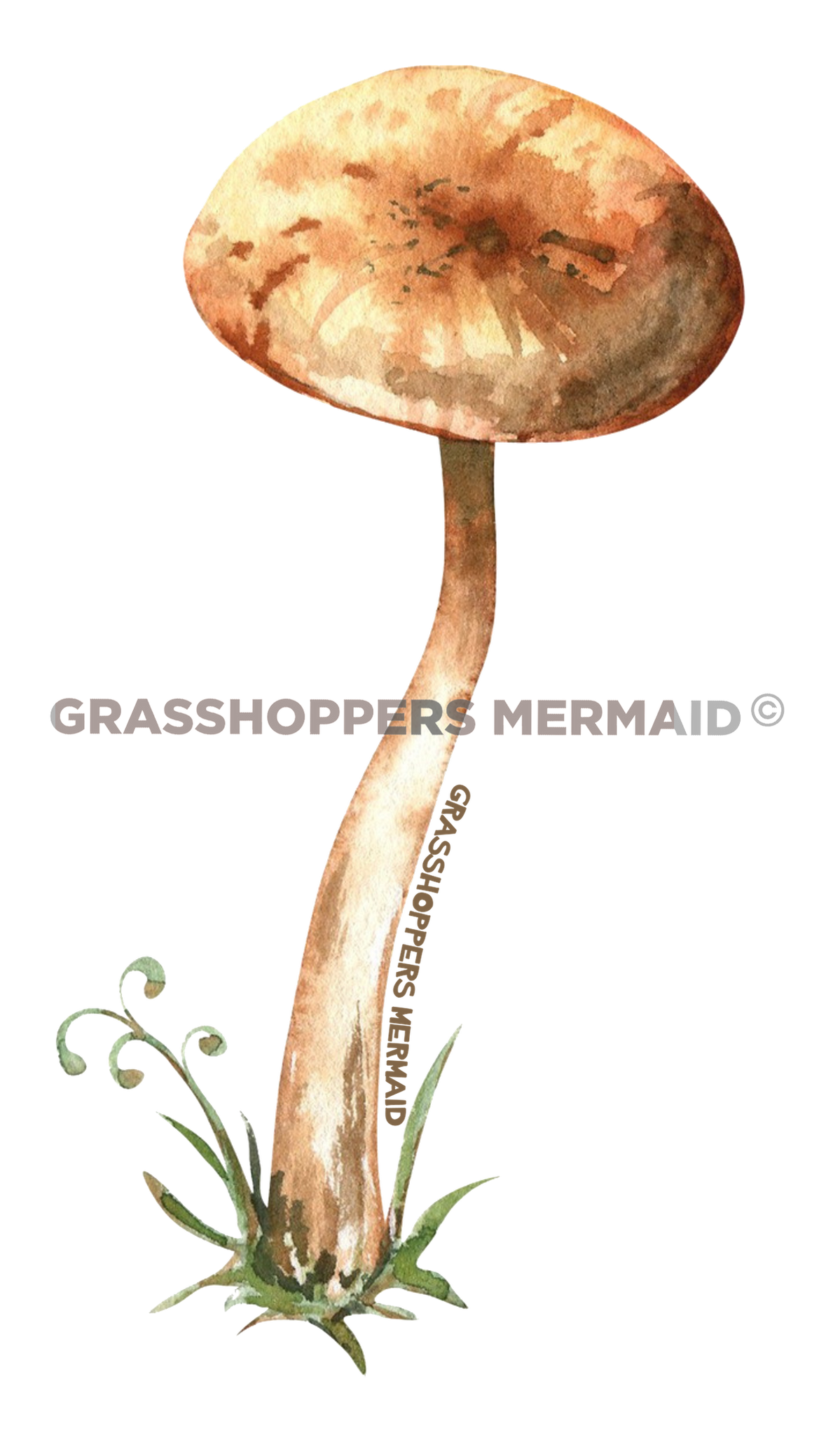 Tall Brown Solo Mushroom