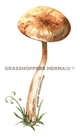 Tall Brown Solo Mushroom