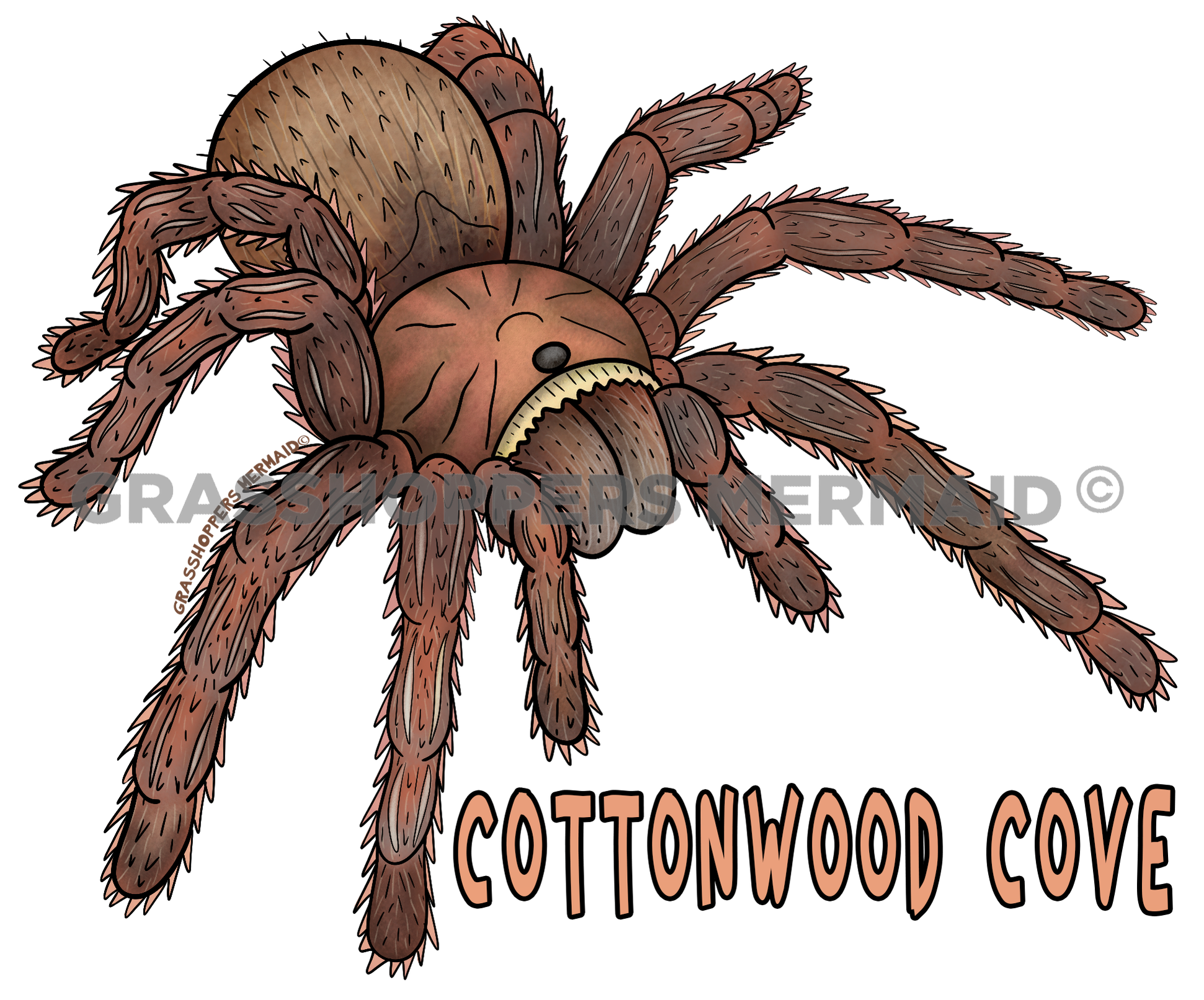 Tarantula - Spooky Spider Sticker