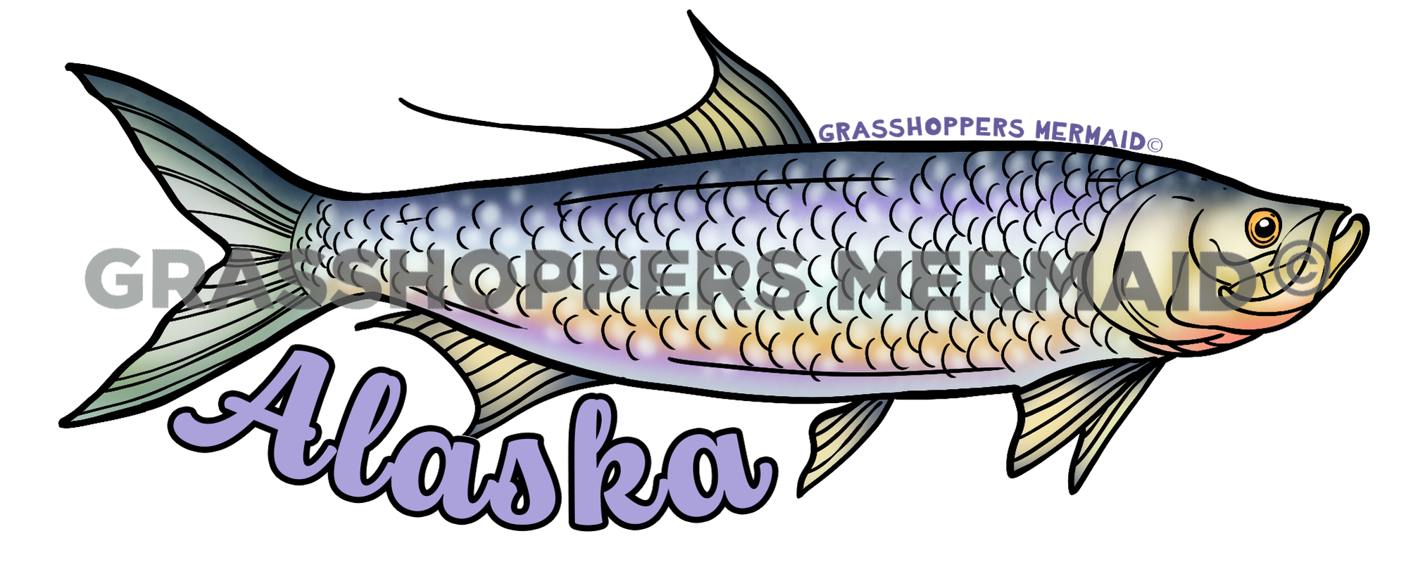 Tarpon Solo