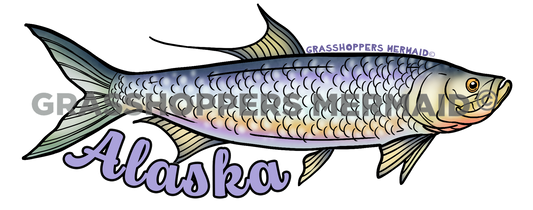 Tarpon Solo